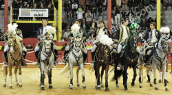 Grande Corrida na Nazaré 14-09-2013